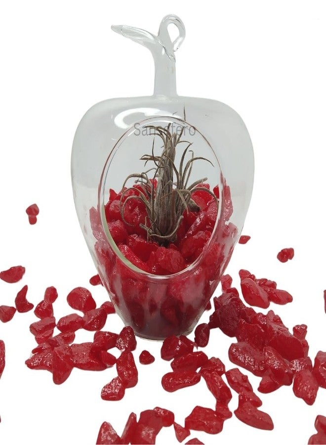 TRADESK Anky Polished Decorative Pebbles,for Plants, Garden, Landscaping and Aquariums 1Kg (Red) - Image 2